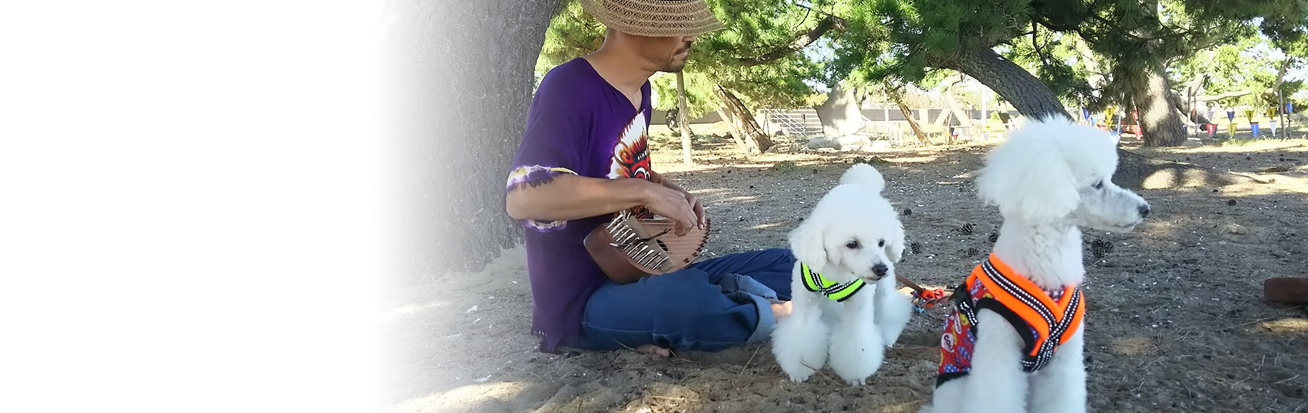 ペットはあなたに寄り添う最高のパートナー